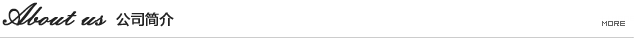 公司簡介